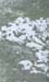 femmes_einsatz_mortes